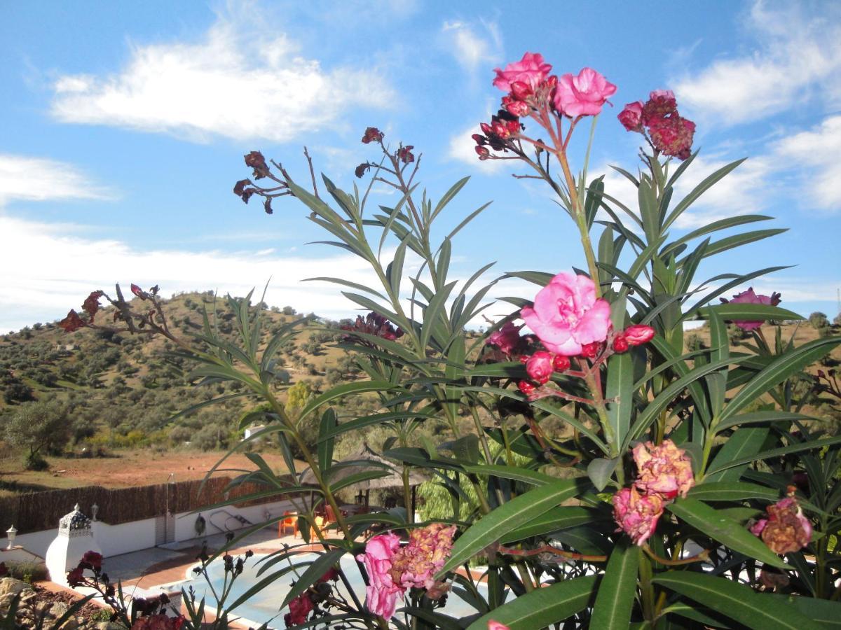 B&B Casa El Corasueno Almogía 외부 사진